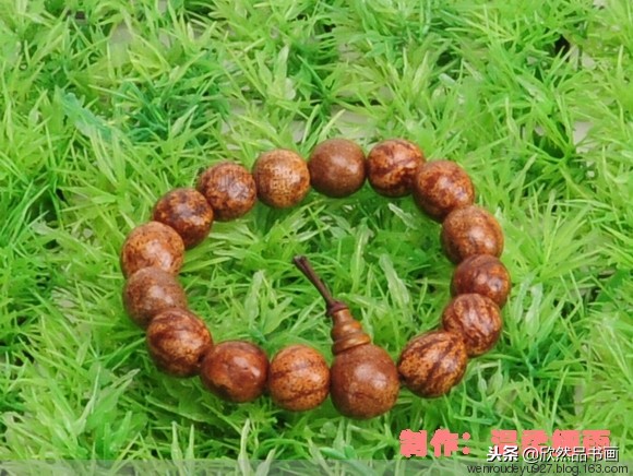 木鱼菩提子的种类全图解,菩提子手串种类图