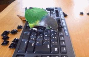 搞笑gif开心一刻不按常理出牌,搞笑gif趣图哥们别拍马屁很危险的