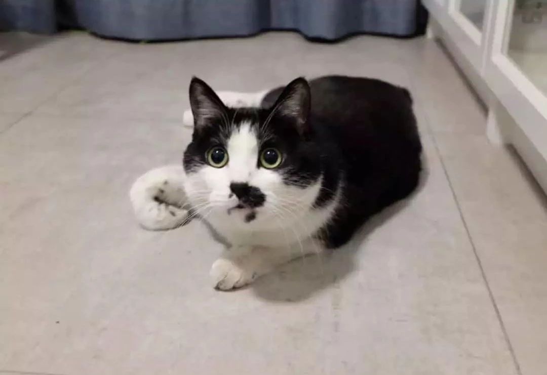 北欧简约风主卧婚房,小户型北欧风格婚房装修