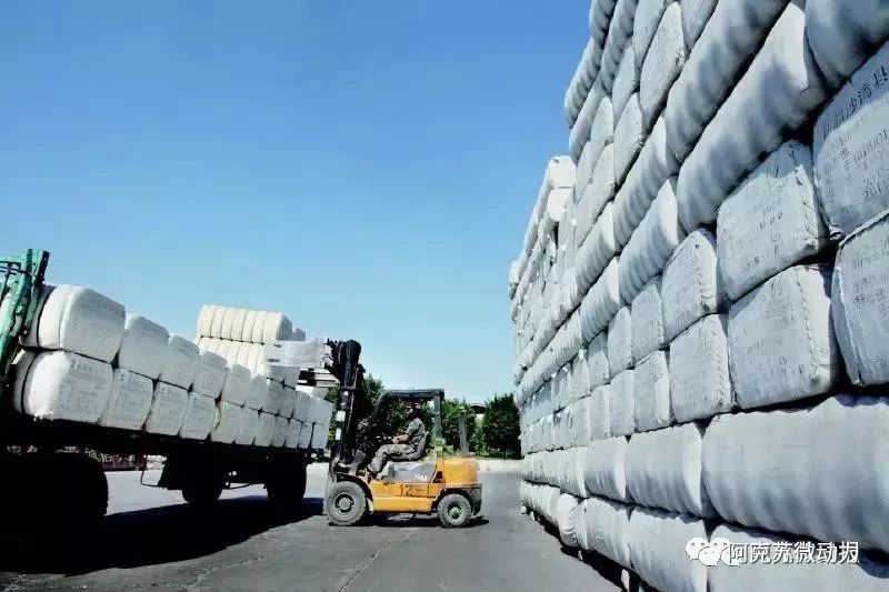 阿克苏在新疆的经济排名,阿克苏最强的县