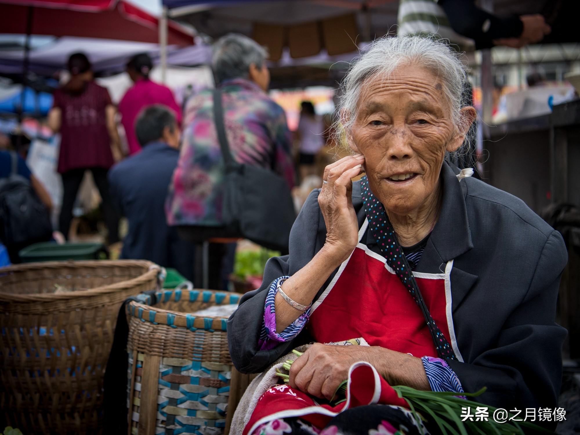 天府新区太平枇杷,成都太平枇杷批发市场