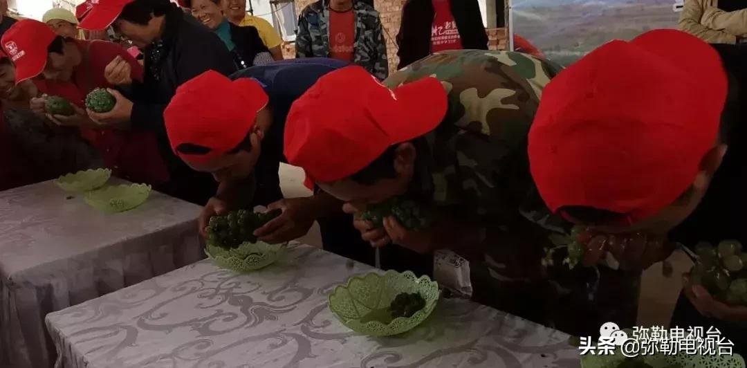 弥勒葡萄价格,弥勒葡萄卖5元一颗