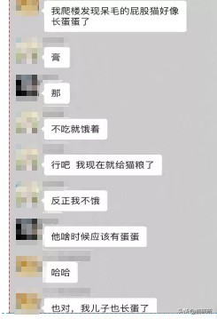 猫咪弓形虫对猫的危害,猫奴弓形虫