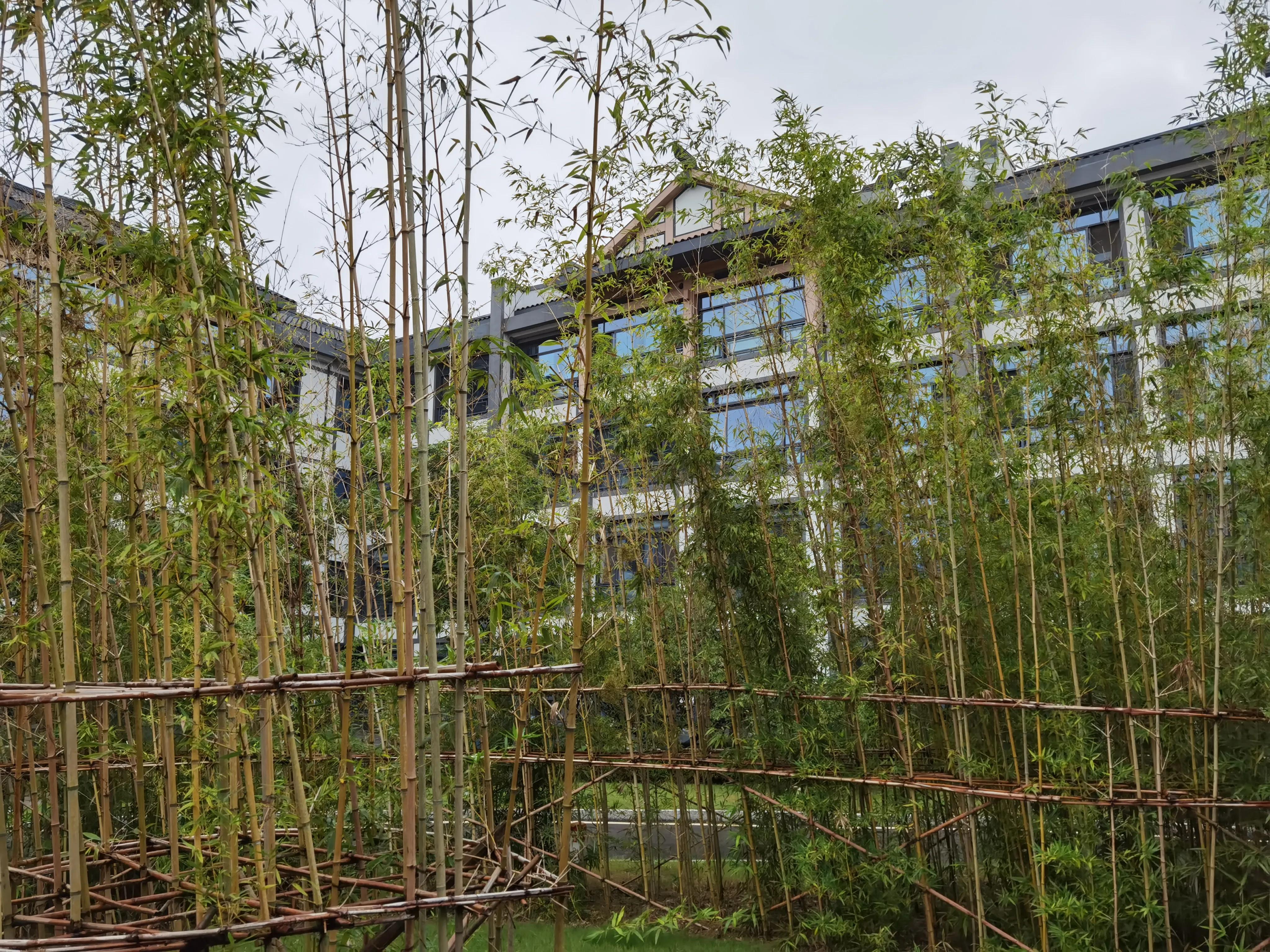 养老社区吴园,泰康苏州吴园养老社区