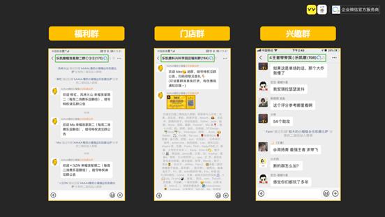 乐凯撒盈利,乐凯撒的发展前景如何