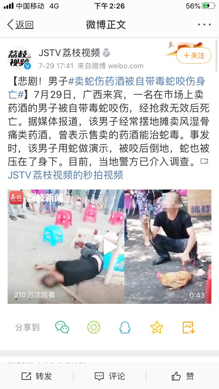 卖毒蛇药酒被蛇咬伤,卖蛇药的被蛇咬死