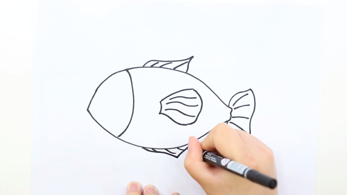 十种鱼的画法,鱼画法简笔画