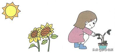 部编版三年级语文下第五单元复习,部编版三年级语文第五单元课后题