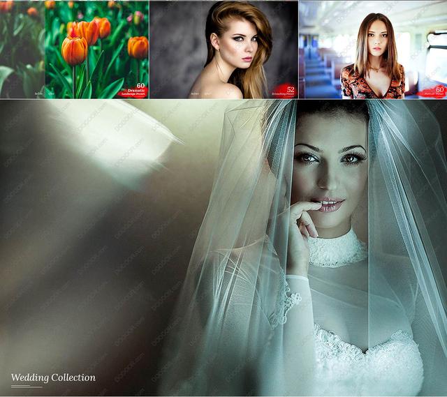 lightroom风格预设官方,lightroom日系预设