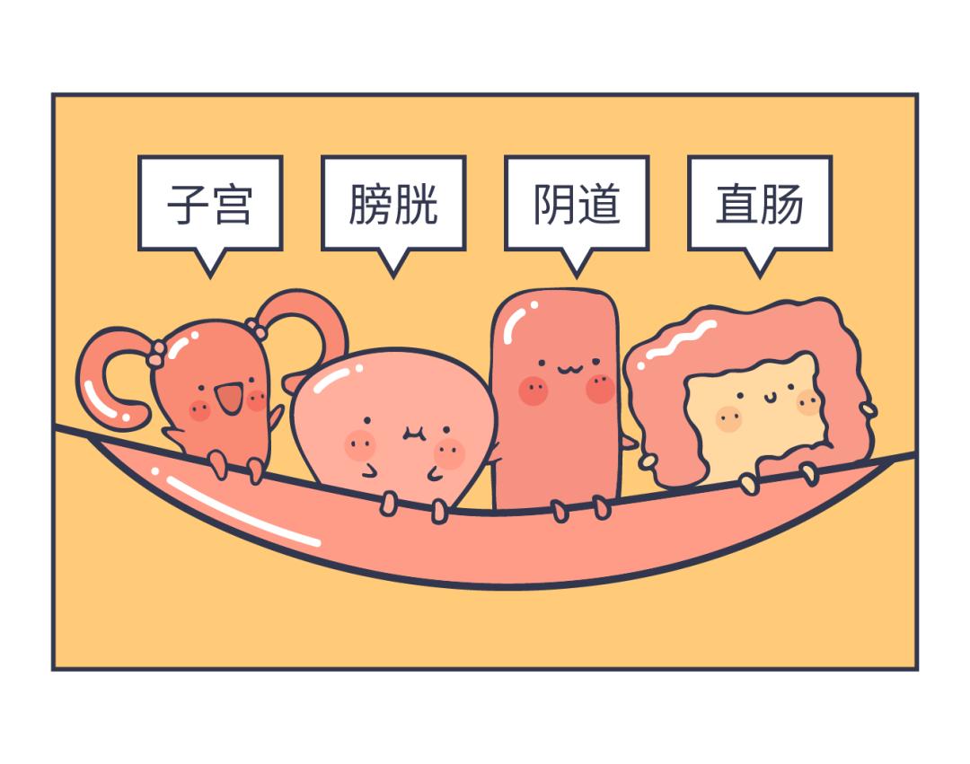 一不小心就湿了，上亿中国女性产后的难言之隐