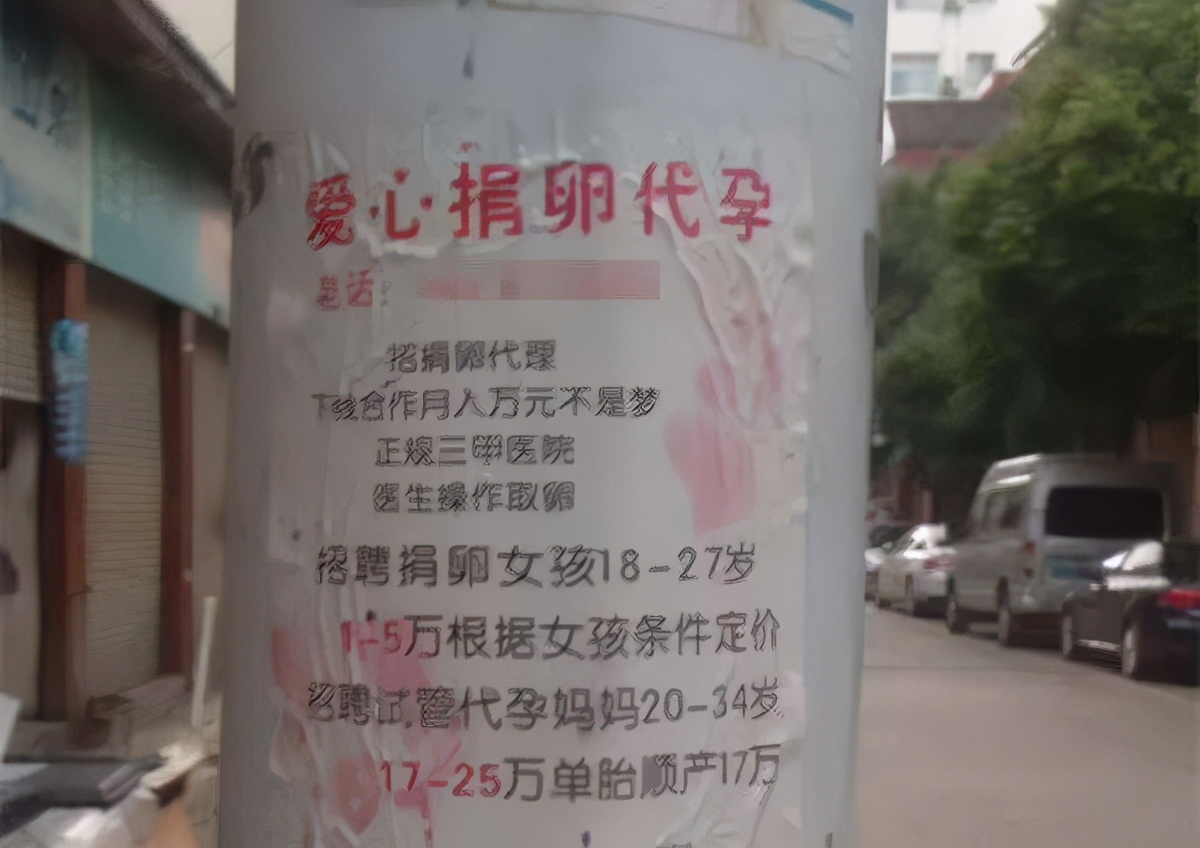 那些卖卵子的女大学生后来怎么样了