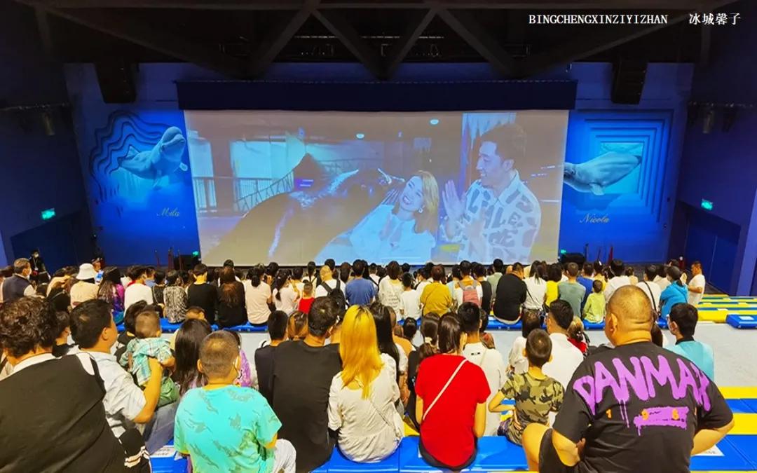 走进哈尔滨完整视频,走进哈尔滨海洋馆