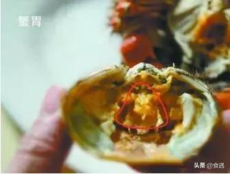 作为一个合格的吃货，首先你要懂得这些……