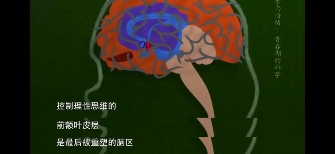 提前发育的孩子要注意什么,如何正确认识孩子提前发育