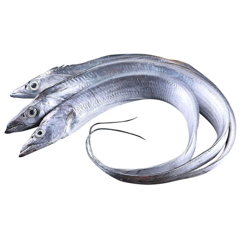 带鱼和带鱼段哪个便宜,大带鱼和小带鱼哪个贵