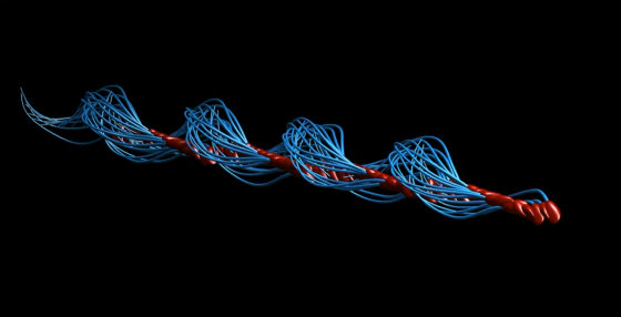 错了340年,精子游泳的方式并不是左右摆动尾巴