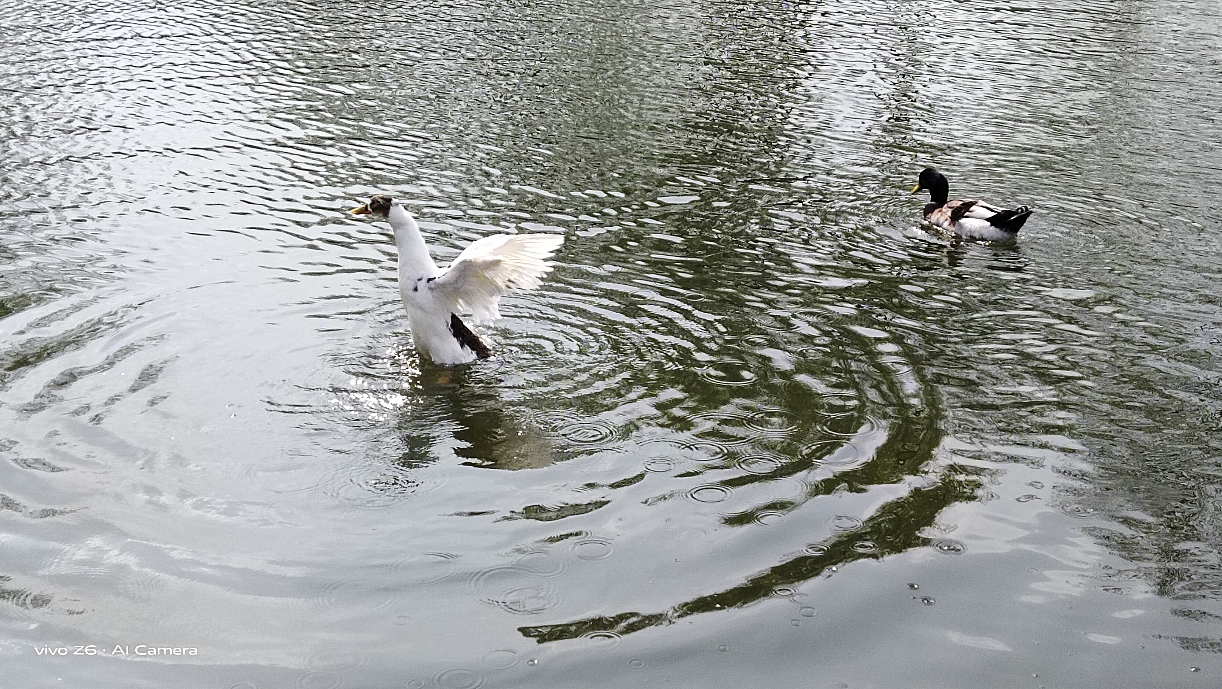 最好用的5g手机vivoz6,十大性价比最高的手机vivoz6