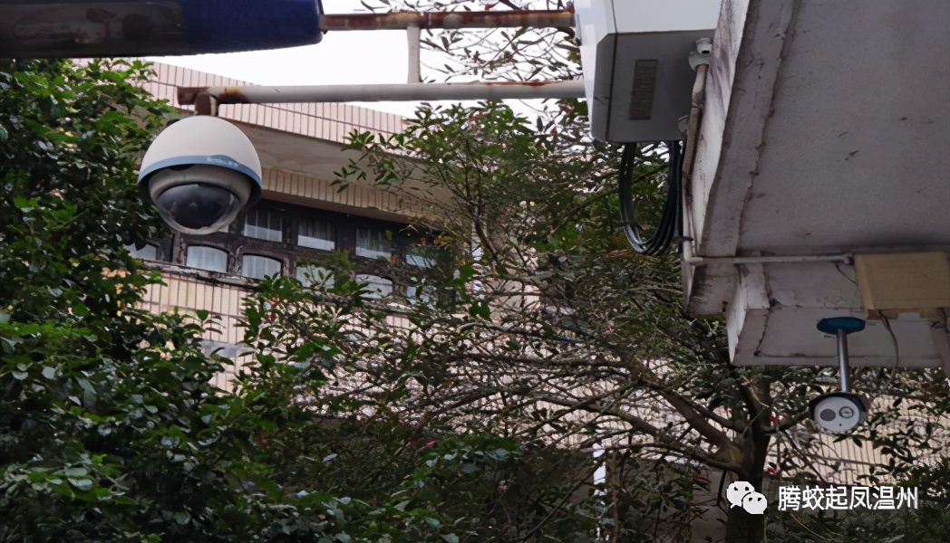 腾蛟镇发展,腾蛟凤巢社区