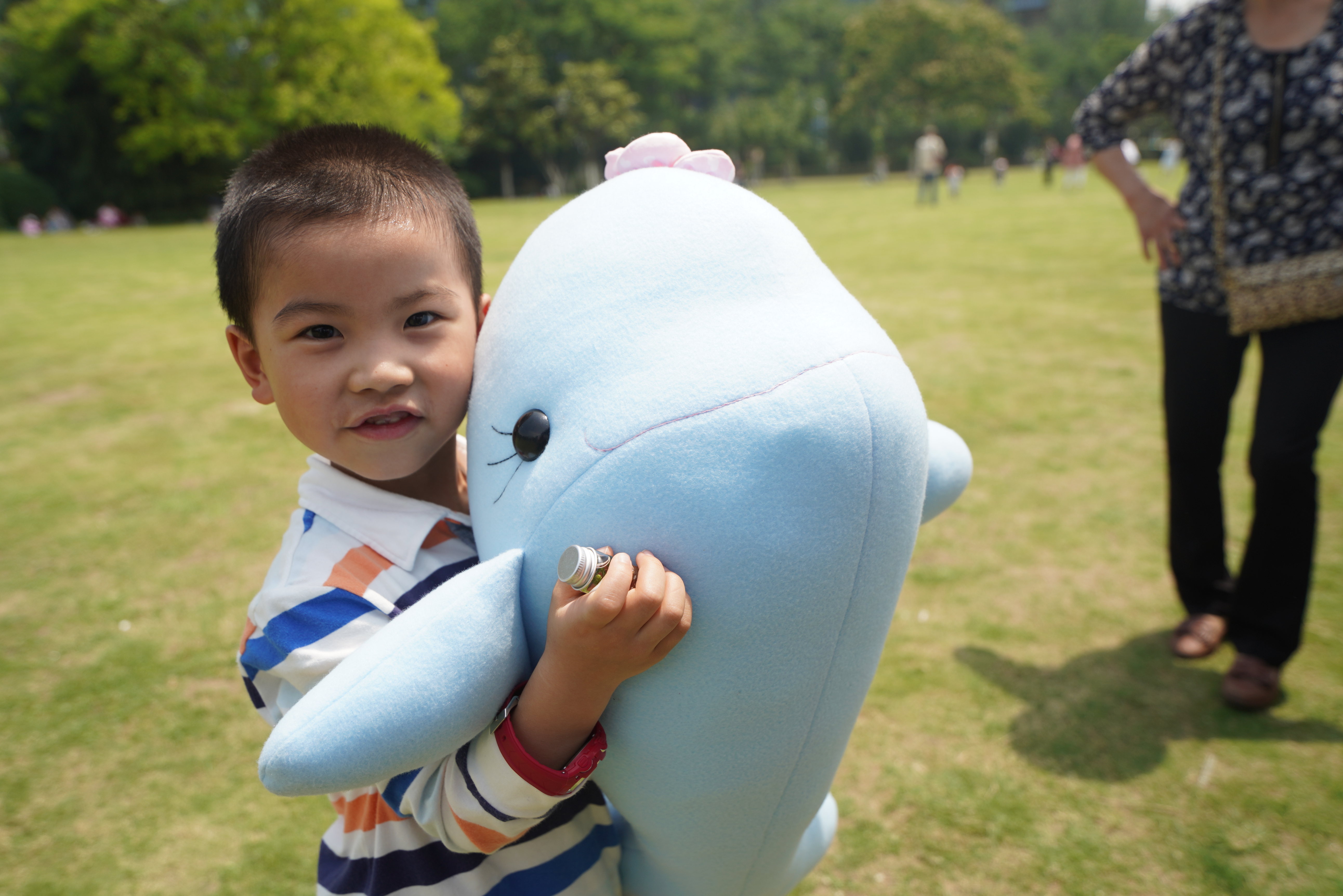 保卫蓝天守护自然∣阿拉善SEE安徽项目中心第三届自然嘉年华成功举办嗨翻全场