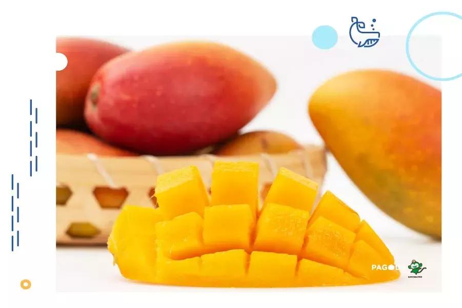 贵妃芒号称是芒果之王皮薄多汁,贵妃芒树上摘下来就能吃的芒果