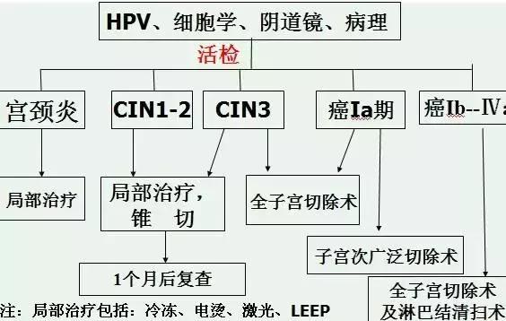cin癌前病变,癌前病变cin二级癌症概率大不大