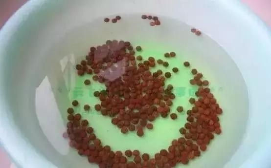 想捡漏古董到底好不好,想捡漏