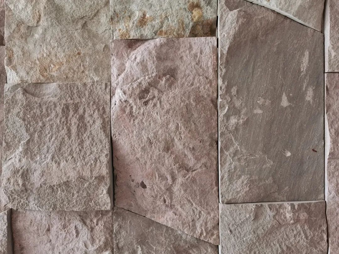 易境研学·重庆站|第二期