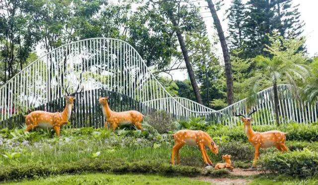 深圳海边最好的公园,深圳有几个靠海的公园