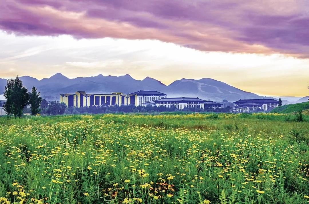 避疫免灾意思,避疫免灾什么意思啊