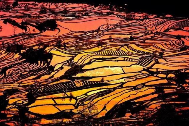 楚雄元阳普者黑四日游,最新云南建水旅游攻略