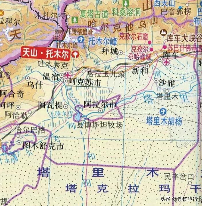 沙雅胡杨林自然保护区,新疆沙雅胡杨林介绍