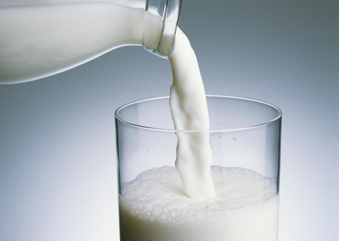 别再给猫咪喂食“这些食物”了,一不小心,命都没了