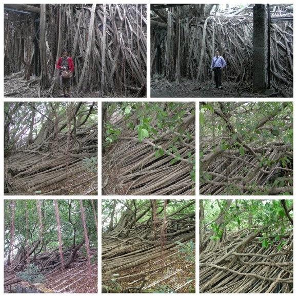 2018年十一月台湾环岛八日游攻略,台湾15天环岛游自由行