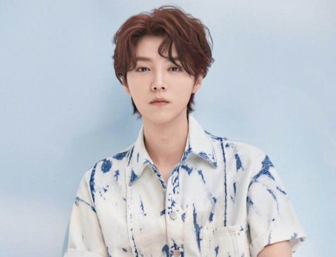 鹿晗粉丝应援多强现状,鹿晗粉丝疯狂追星事件