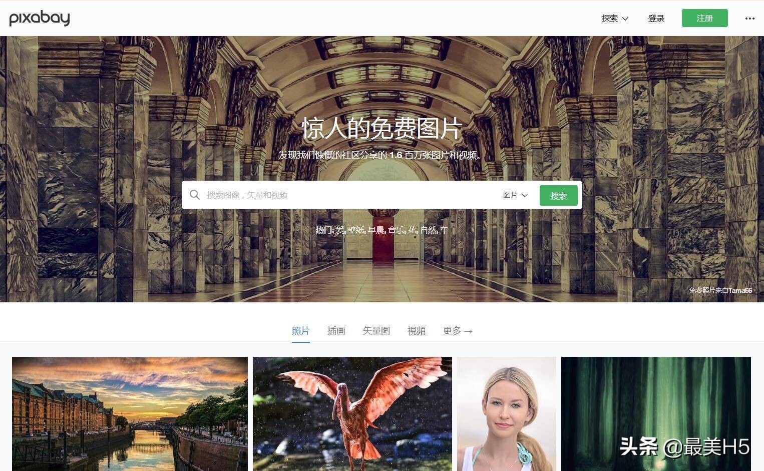 花瓣不在的日子,有哪些网站可以相伴