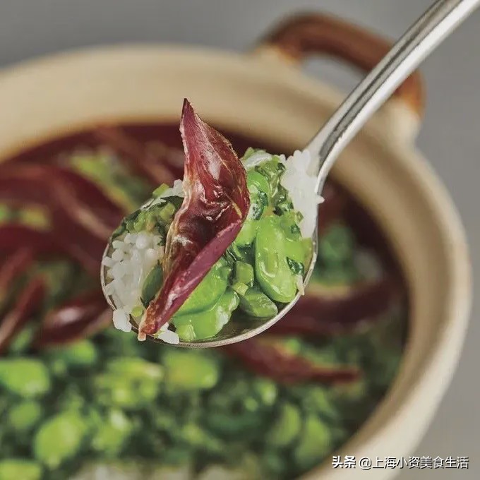 魔都薅羊毛日记,2022魔都高段位薅羊毛指南