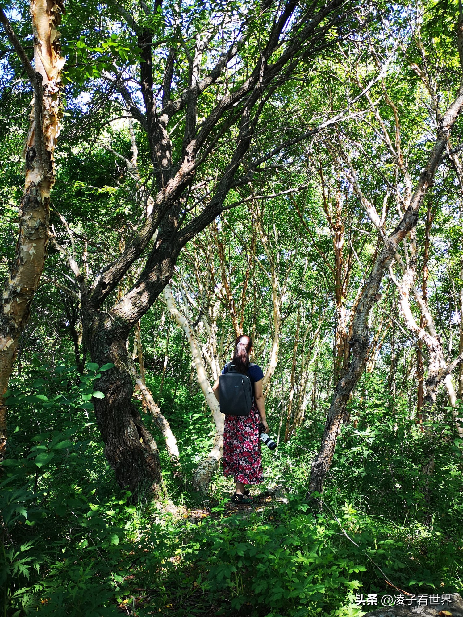 逃离北京40度高温，房山享受22度清凉，看银狐，逛古街吃铁锅炖