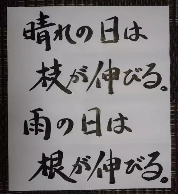 日本寺庙布告栏标语火了，这些方丈都是段子手吗？