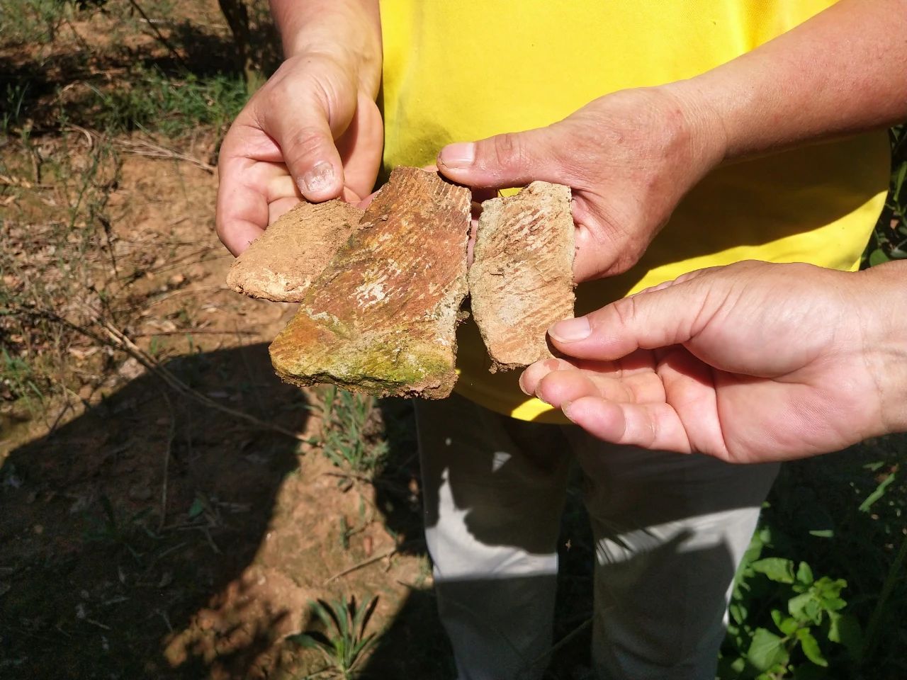 洮阳古城在哪里,洮阳城遗址