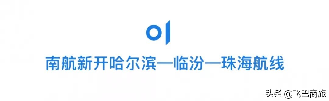 两男子飞机上吸烟被拘,两男子在飞机上吸烟被拘留