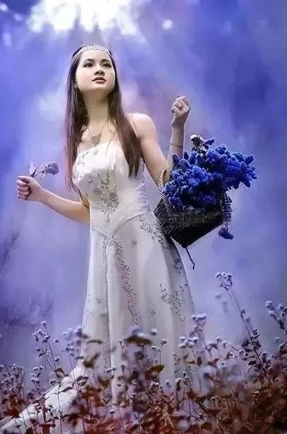 江姐的朗诵视频,江姐朗诵剧本