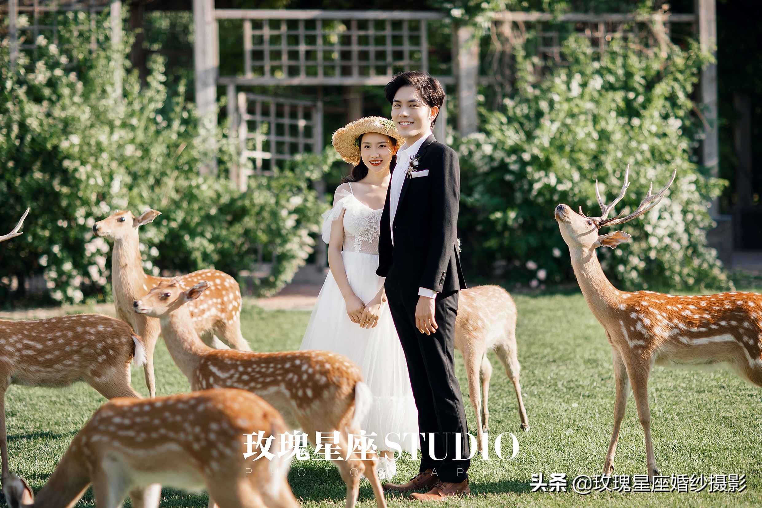 婚纱照必拍的9种风格,韩式小清新可爱俏皮室内婚纱照