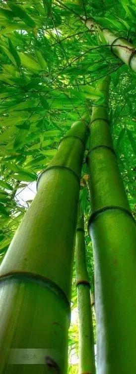 南怀瑾凡事不能太过圆满,南怀瑾做大事的人