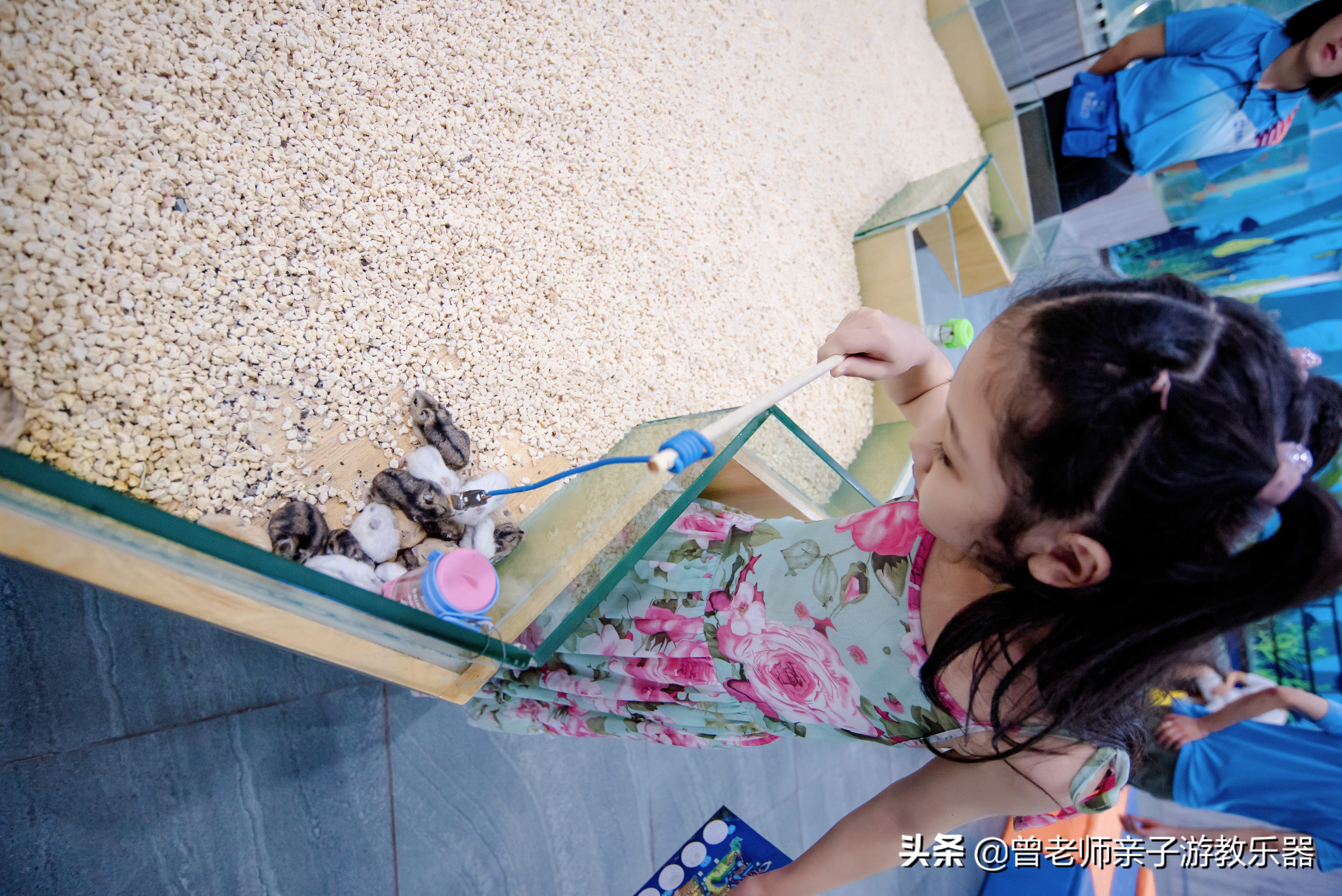 西安遛娃夏日,国庆西安周边2-3天溜娃