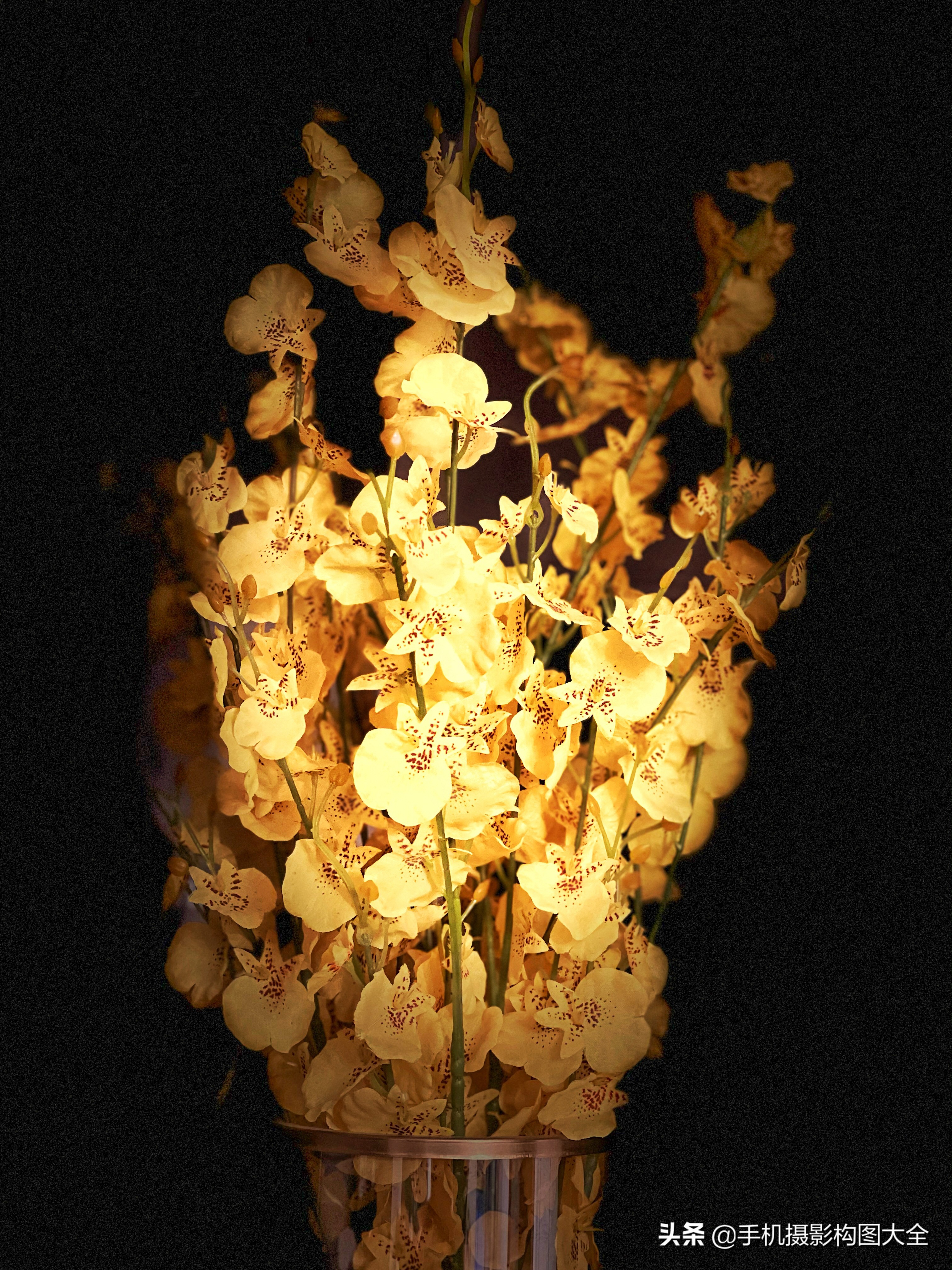 学会这8个技巧手机也能拍大片,教你几个用手机拍大片的技巧