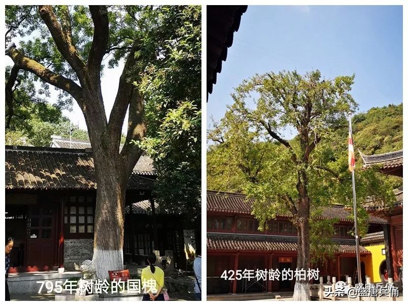 镇江焦山是几a景区,镇江焦山被称为什么