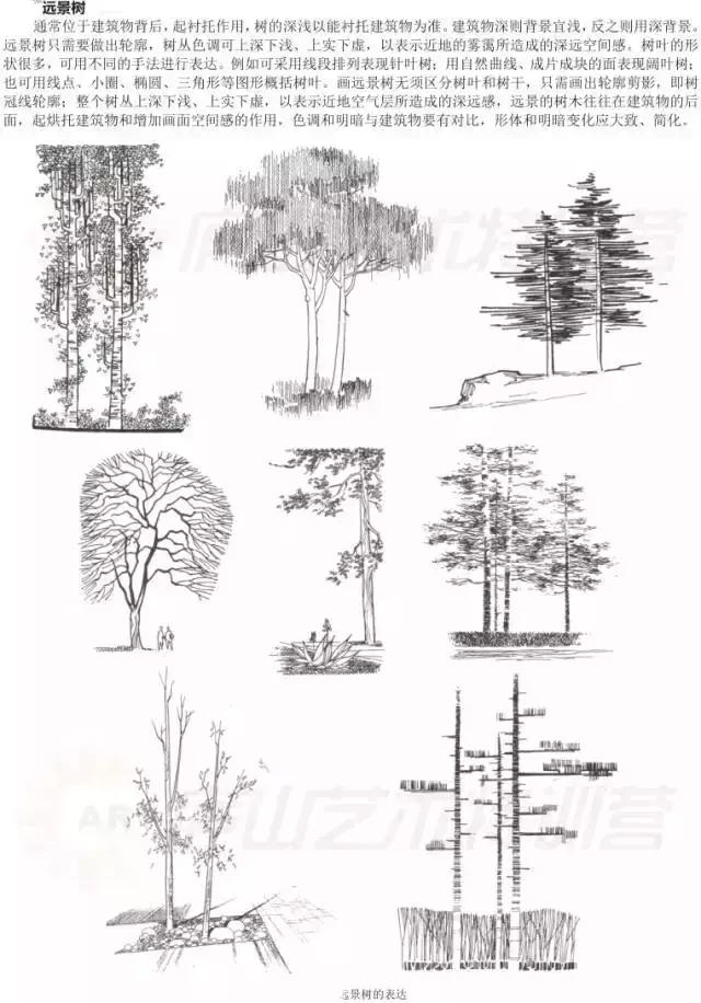 画画入门教程动漫人物0基础手绘,手绘基础入门教程手绘图片