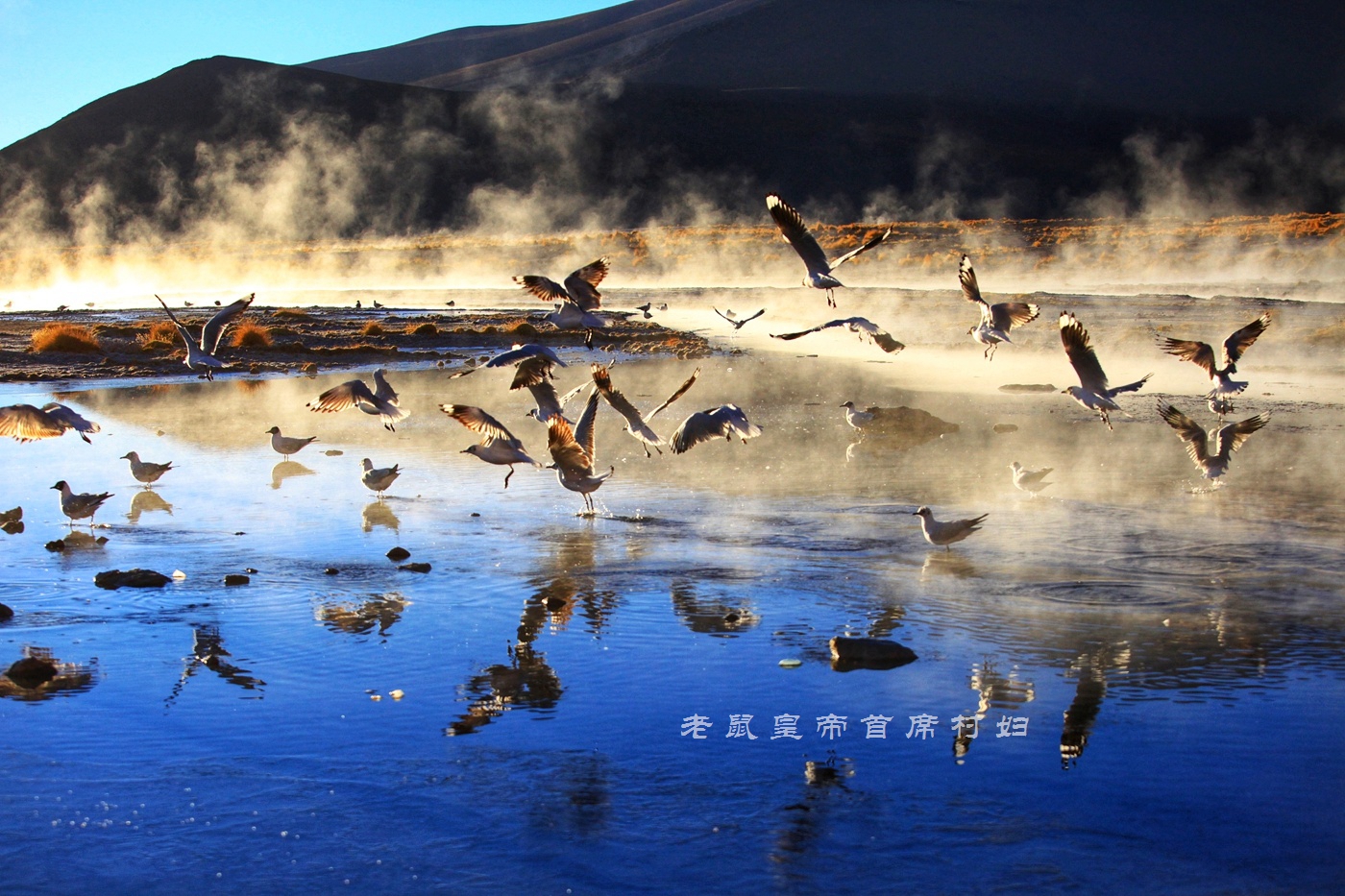 玻利维亚天空之镜无滤镜,玻利维亚看天空之镜