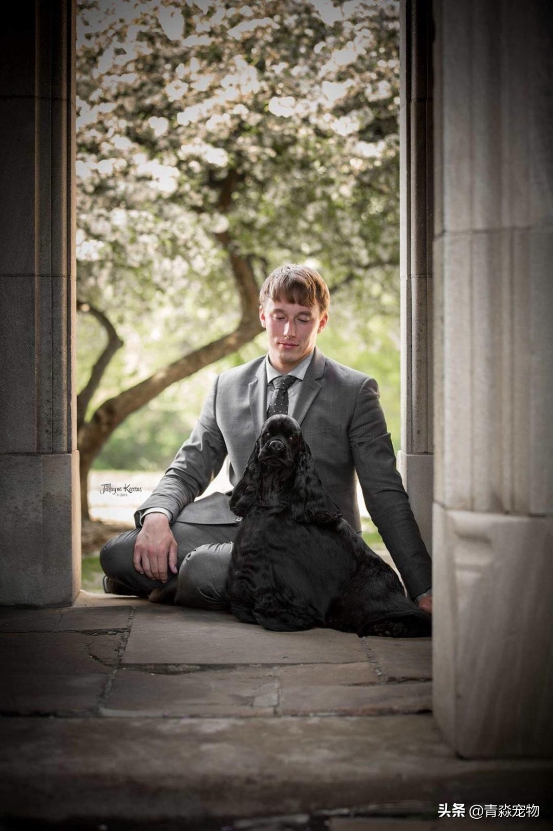 狗狗被烫伤了该怎么办,狗狗烫伤皮肤溃烂怎么办