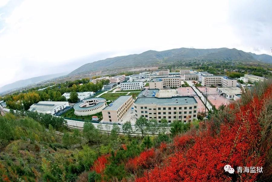 青海监狱发展史,改革开放40年监狱变迁感言